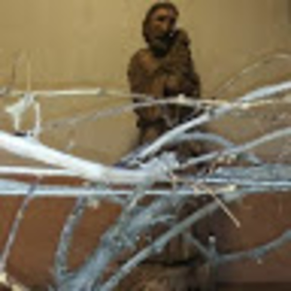 Meet your Posher, Melissa dejavu